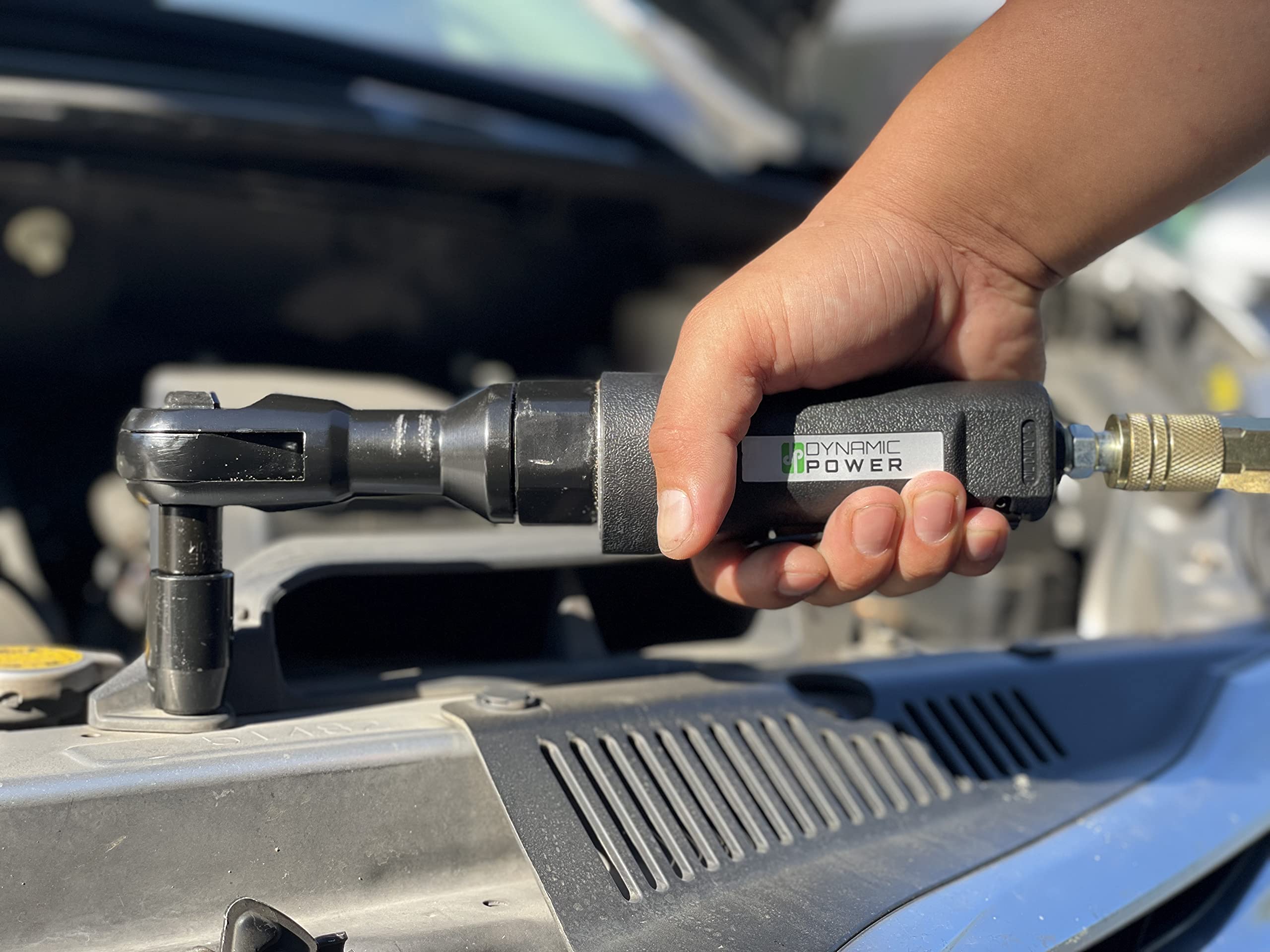 Wolf Shop -Wolf Shop